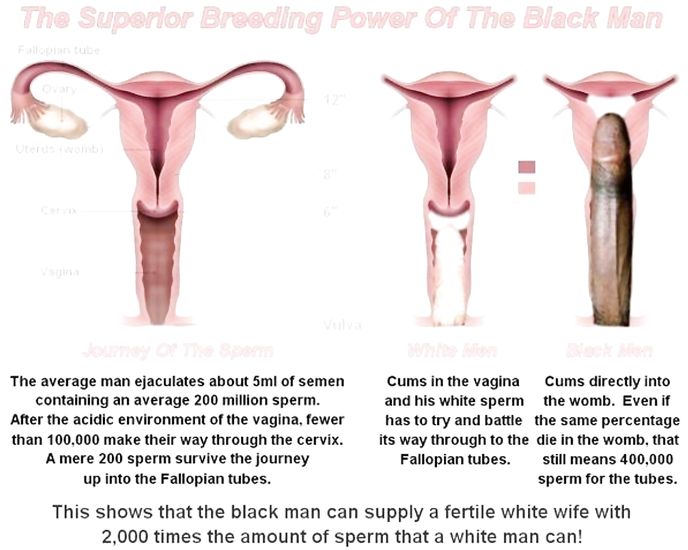 White boi cuckolding captions encompassing different feitshes