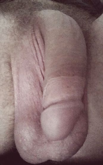 Big cock pictures to get horny women in the mood